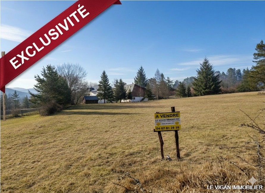 terrain Thion bandeau.jpg